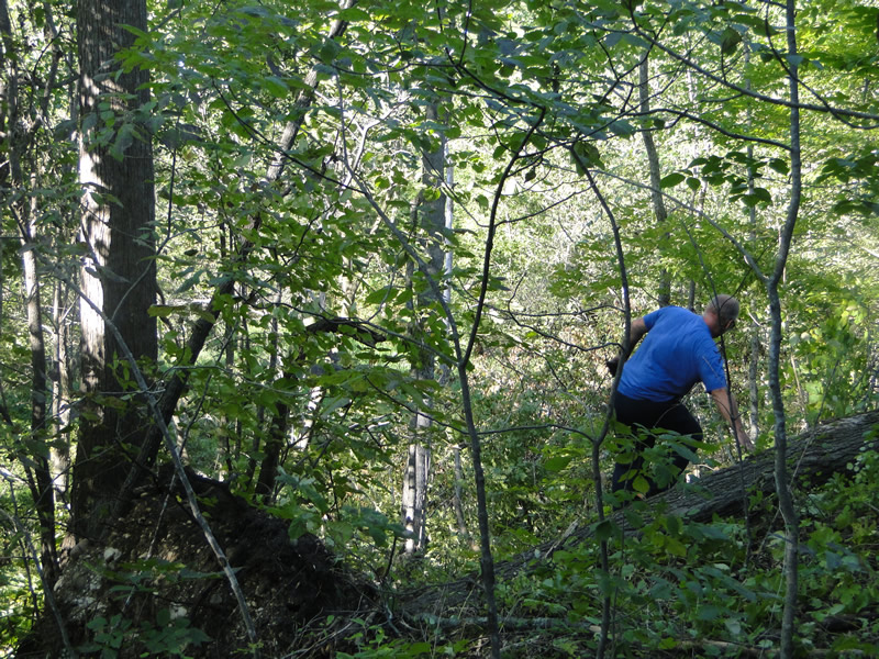 /pictures/Trail Clean Up 2018/DSC06581.jpg
